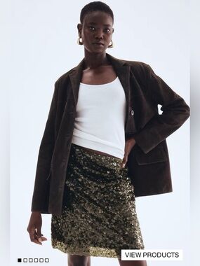 H&M Sequinned Skirt